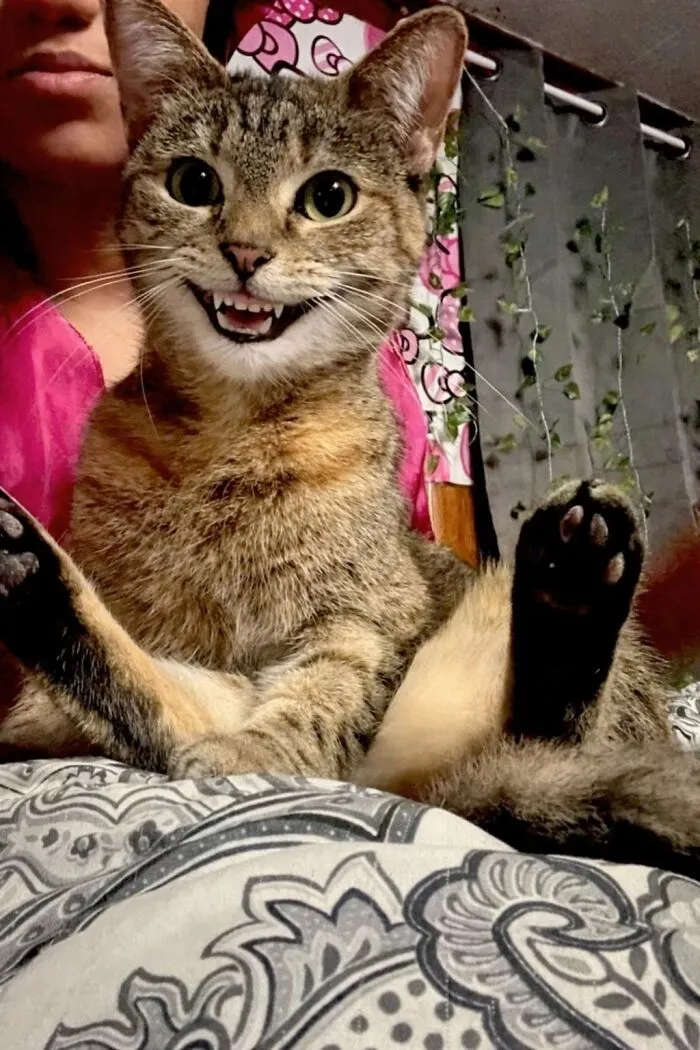 She Thought My Joke Was Funny
