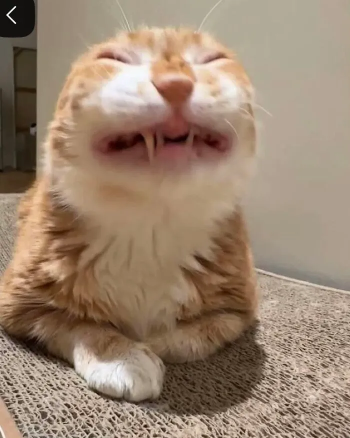Hes Just Happy