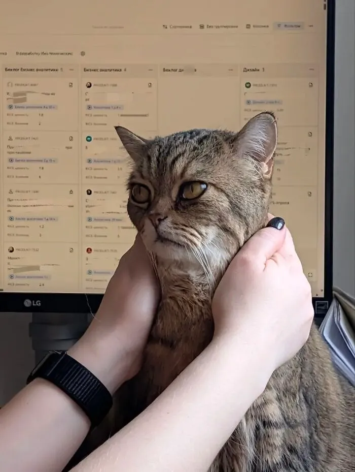 What Are You Doing