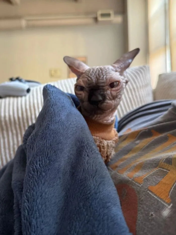 Me When I Wanna Take A 15min Nap And Wake Up 3 Hours Later