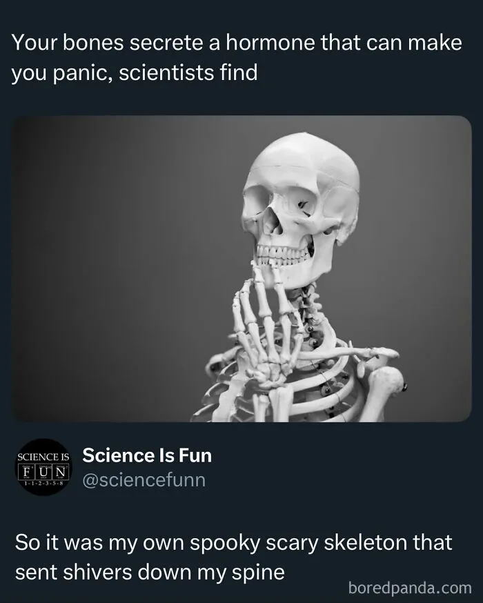 Skeleton thinking with hand on chin, illustrating a science meme about bones secreting a hormone that causes panic.