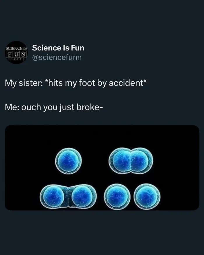 Science meme from Science Is Fun showing dividing cells with a joke about accidental foot injury and broken bones.