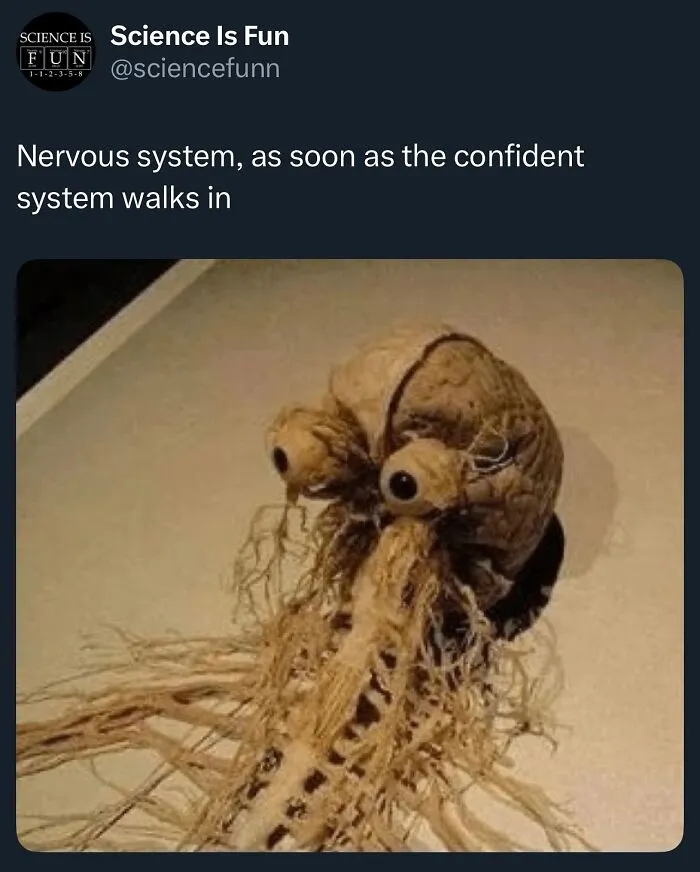 Nervous system meme showing a dried root with eyes, highlighting funny science content you don’t need to like science to enjoy.
