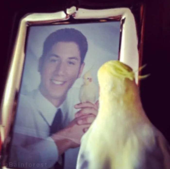 I Took My 2002 Senior Year With My Bird, Jeff. It Made The Yearbook. Ten Years Later, I Caught Him Reflecting On Our Long History. Sentimentality In Its Truest Form
