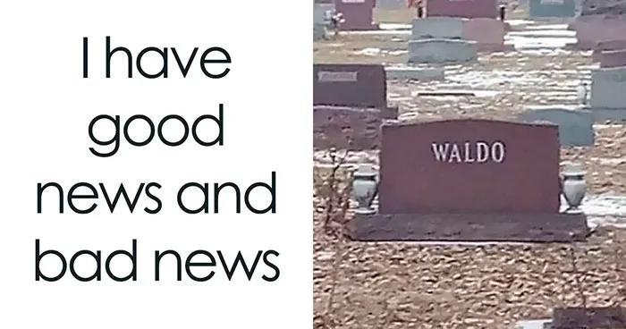 If You’re Feeling Down, These 57 Hilarious Lighthearted Memes Might Fix Your Mood