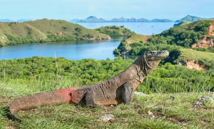 51 Legends And Myths Once Considered Hoaxes That Evidence Later Proved True