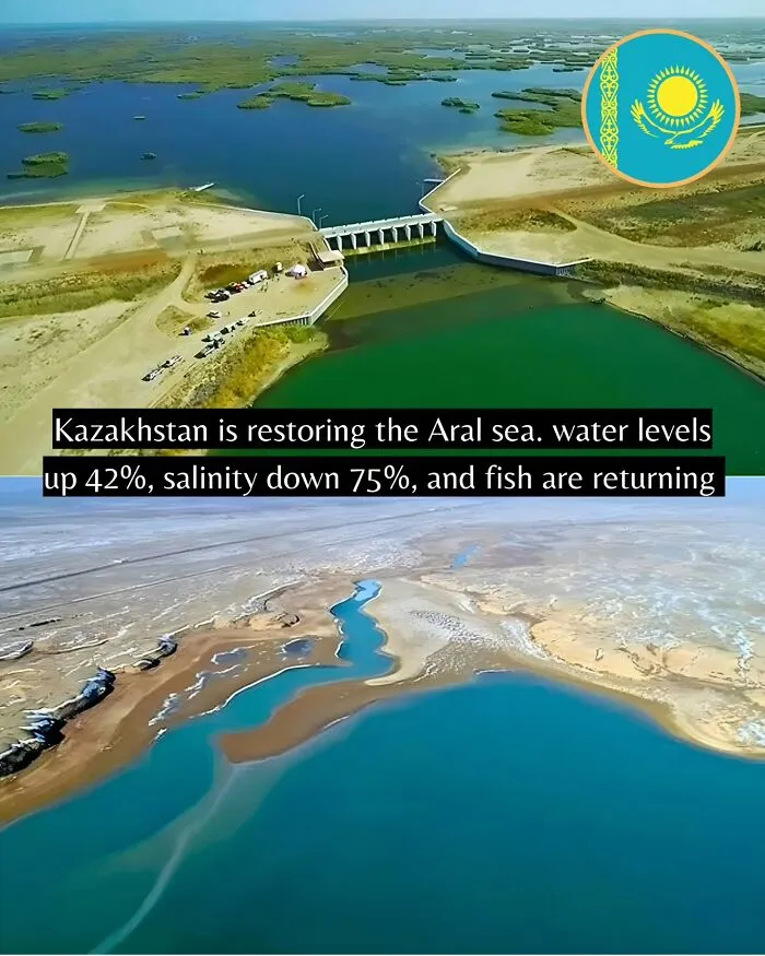 If You Can’t Take It Anymore, Here Are 55 Good News Stories That Recently Happened (New Pics)