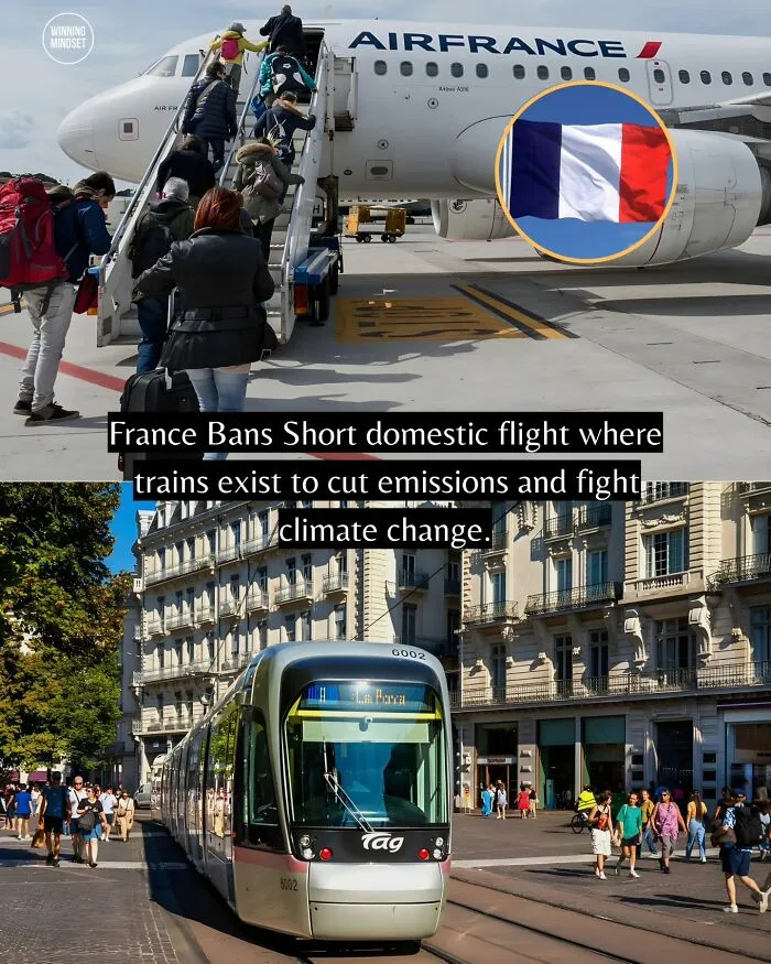 If You Can’t Take It Anymore, Here Are 55 Good News Stories That Recently Happened (New Pics)