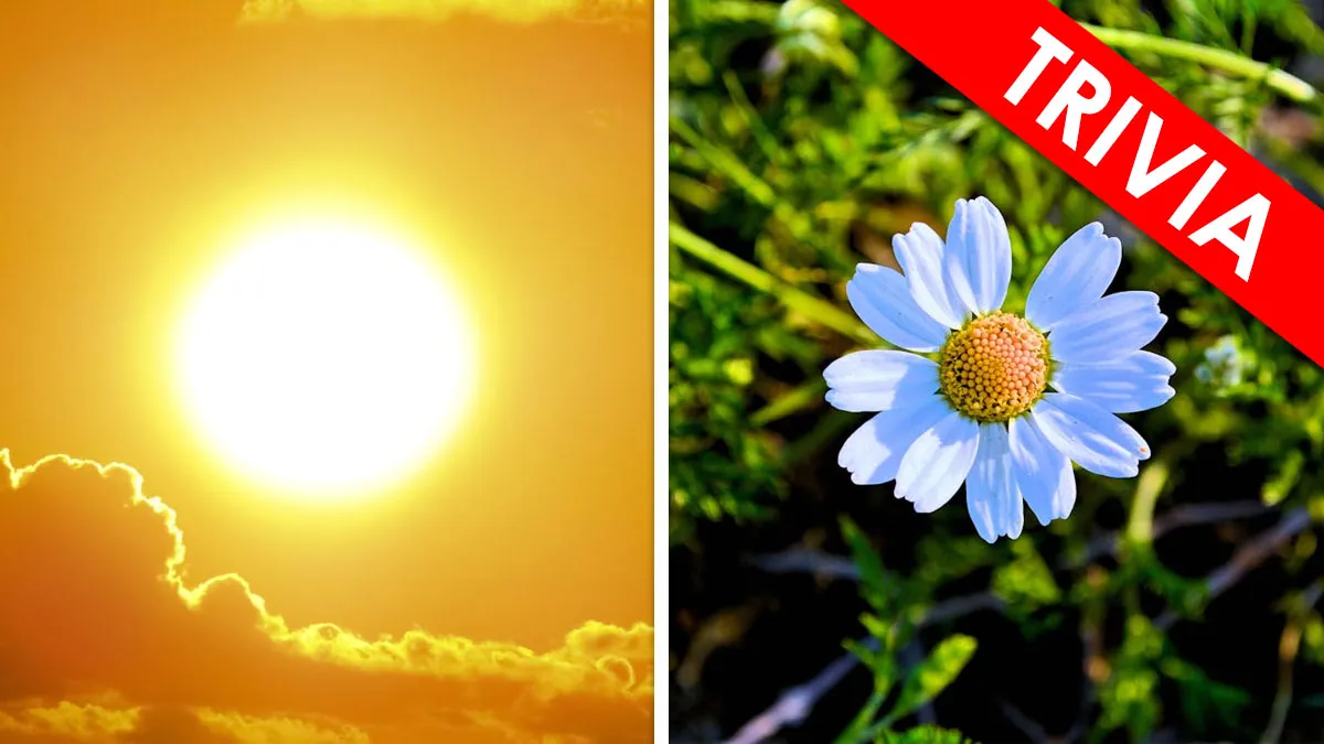 “Are You Smarter Than A Six-Year-Old?”: Identify 29 Words From Two Simple Pictures