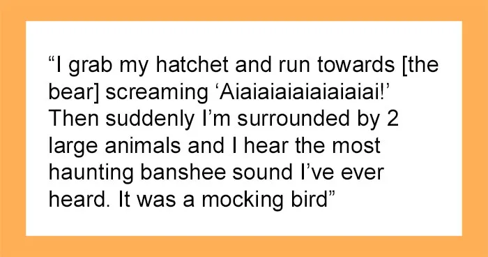 “Footsteps Outside My Tent”: 43 Terrifying Experiences People Have Had In The Woods