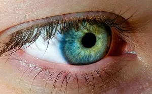 How Rare Are Green Eyes, And What Genetics Says About Their Origins