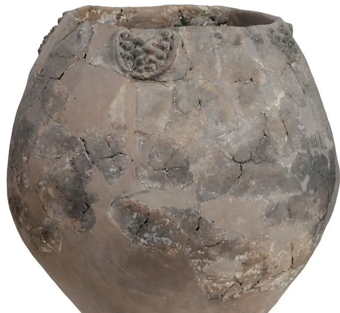 47 Times Archaeologists Dug Up Surprising Finds That Should Have Been Major News