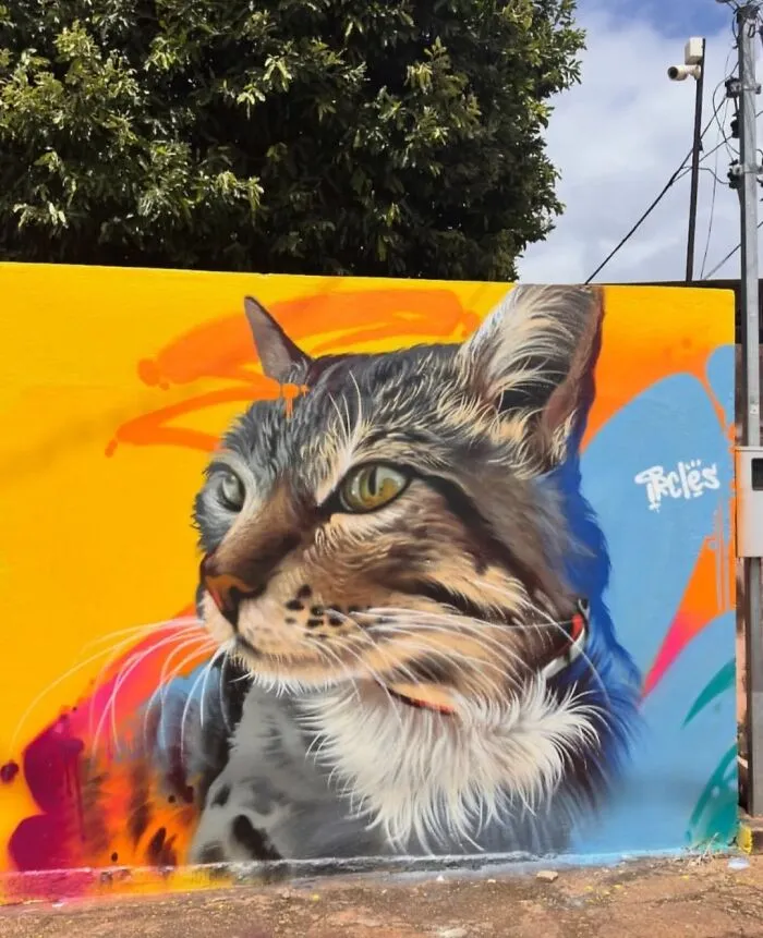 50 Stunning Photos Of Lisbon’s Street Art That Prove Why This City Is The Unofficial Graffiti Capital Of The World