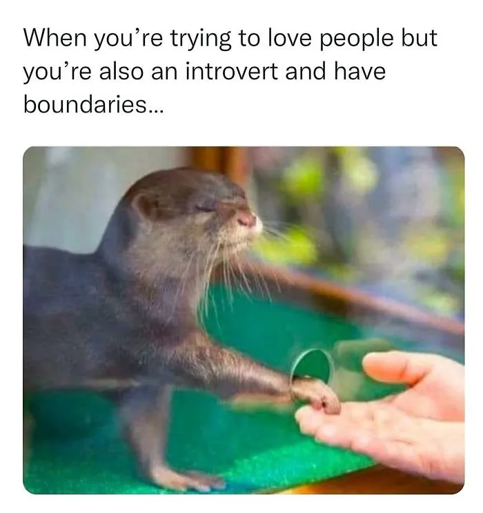 This Instagram Page Shares 55 "No Context" Animal Memes That Are Pure Comedy
