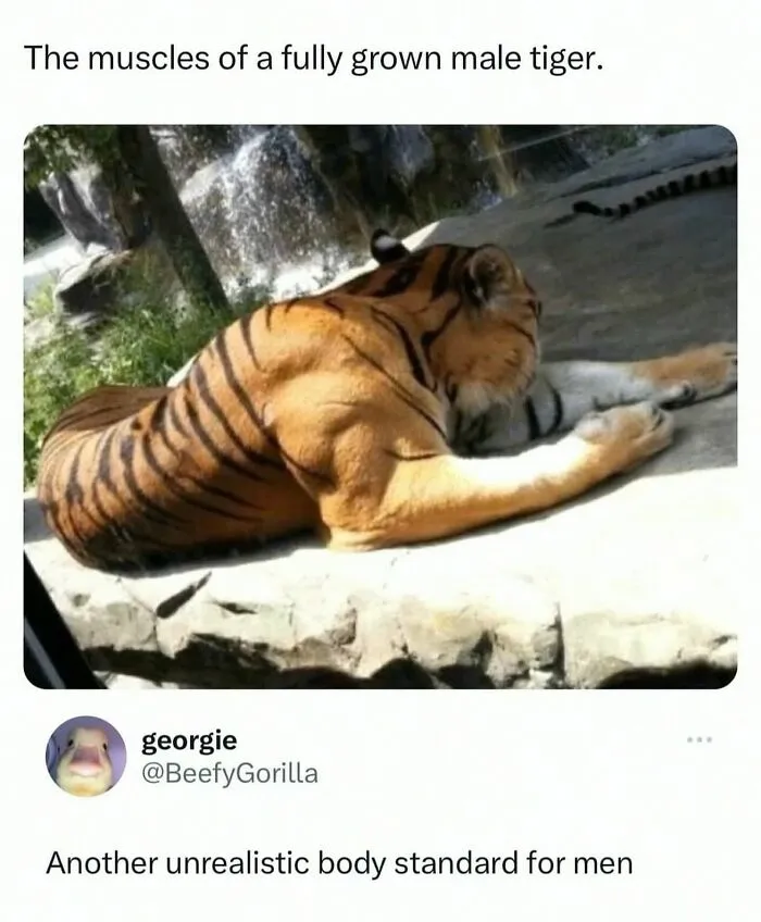 This Instagram Page Shares 55 "No Context" Animal Memes That Are Pure Comedy