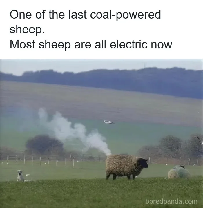 57 Memes To Make You Laugh At The Most Random Mundane Things