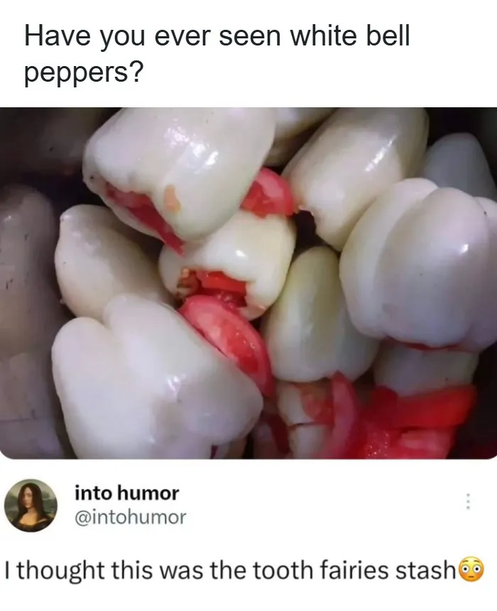 57 Memes So Funny And Relatable You’ll Just Want To Share Them With Your Friends