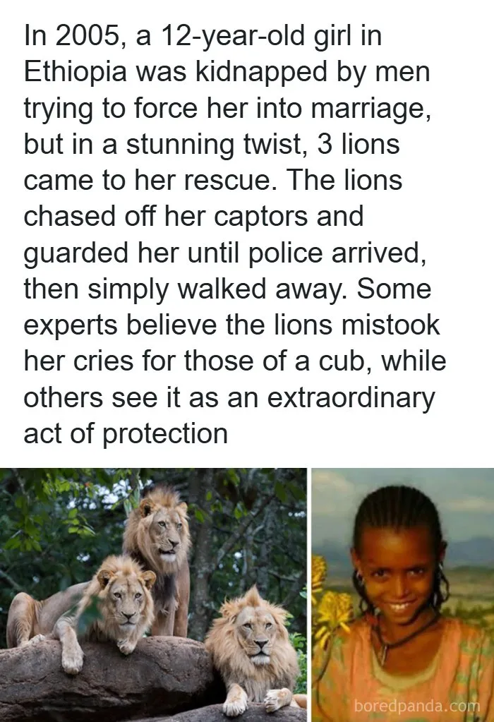 I Guess This Is Why Some Women Choose The Bear
