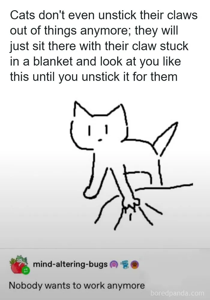 This Generation Of Cats Are Next Level Lazy