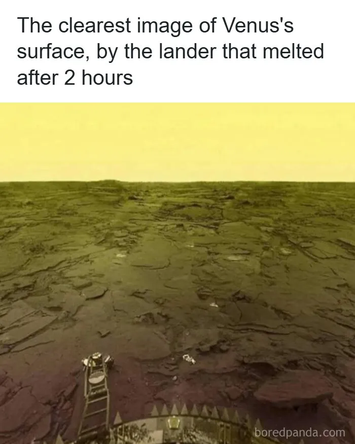 51 Fascinating Photos That Will Teach You About History In A Way School Can’t (New Pics)