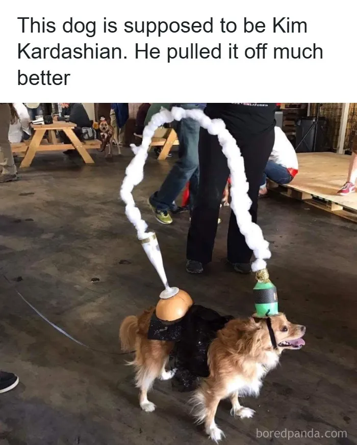 Funny-Random-Memes-Intohumor