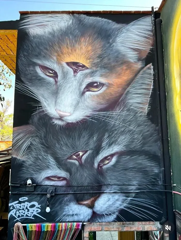 50 Stunning Photos Of Lisbon’s Street Art That Prove Why This City Is The Unofficial Graffiti Capital Of The World