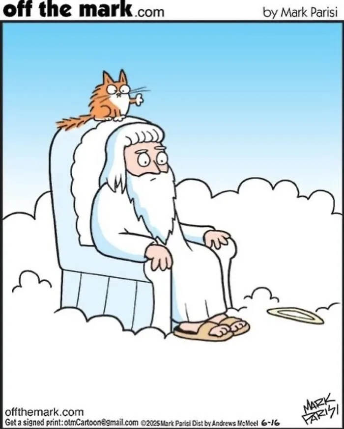 Hilarious Life With Cats Perfectly Captured In 37 New Comics By Mark Parisi