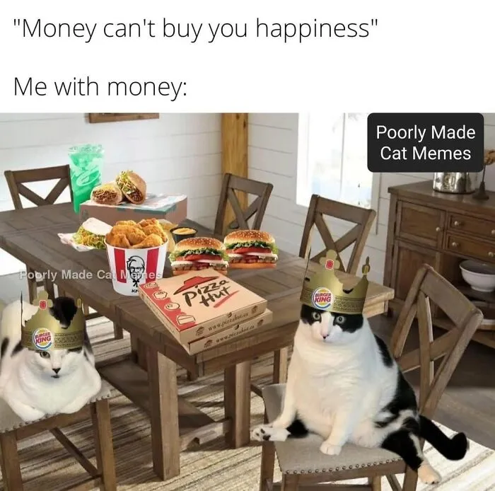 If You Love Chaotic Cat Humor, These 51 Poorly Made Cat Memes Might Be For You