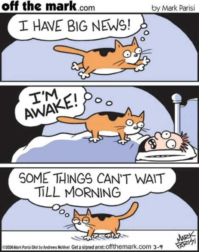 Hilarious Life With Cats Perfectly Captured In 37 New Comics By Mark Parisi