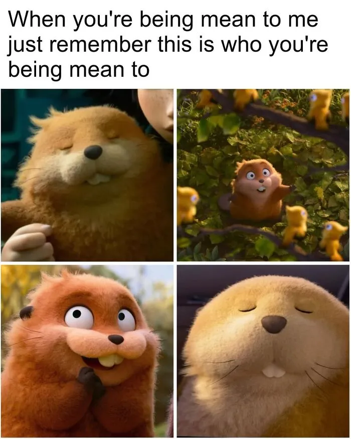 This Page Shared 50 Funny Memes For Your Daily Dose Of Cute Animal Content