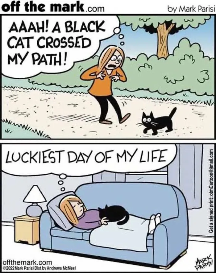 Hilarious Life With Cats Perfectly Captured In 37 New Comics By Mark Parisi