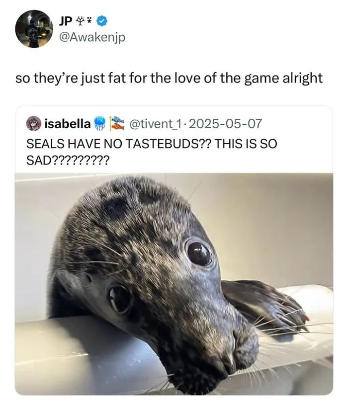 This Page Shared 50 Funny Memes For Your Daily Dose Of Cute Animal Content
