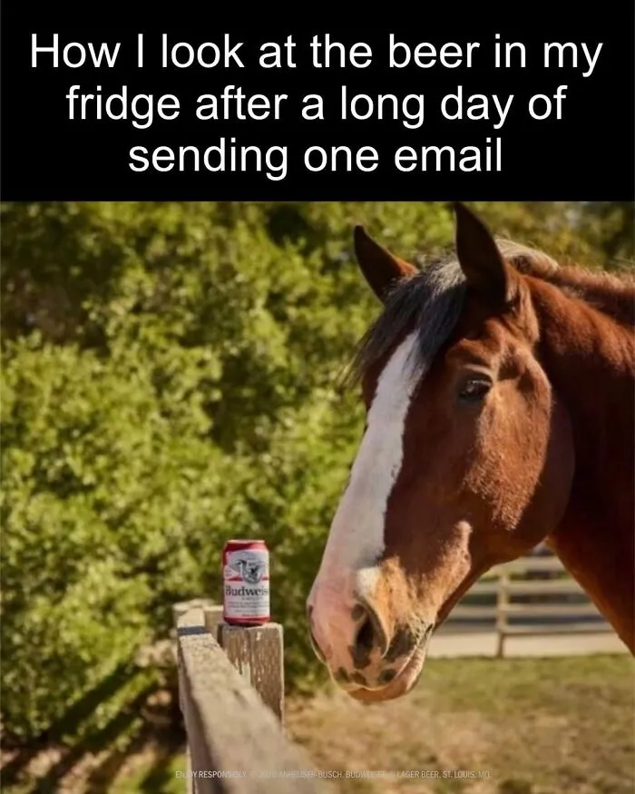 This Page Shared 50 Funny Memes For Your Daily Dose Of Cute Animal Content