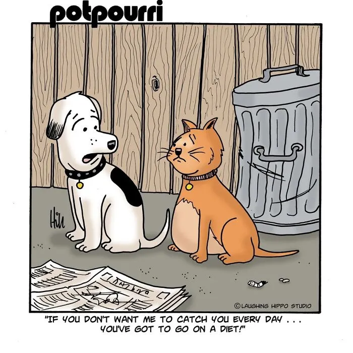28 One-Panel Comics That Anyone Who Has Ever Been Judged By A Cat Will Instantly Relate To