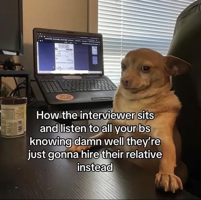 This Page Shared 50 Funny Memes For Your Daily Dose Of Cute Animal Content