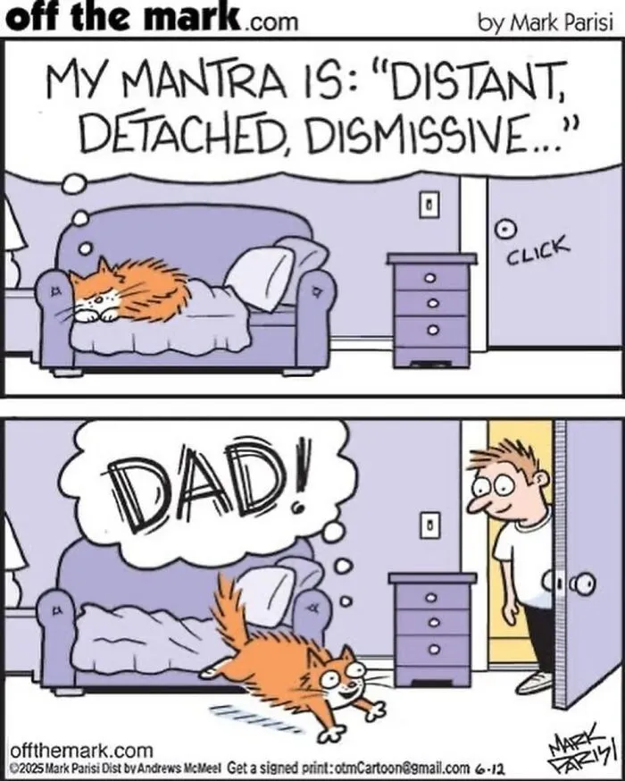 Hilarious Life With Cats Perfectly Captured In 37 New Comics By Mark Parisi
