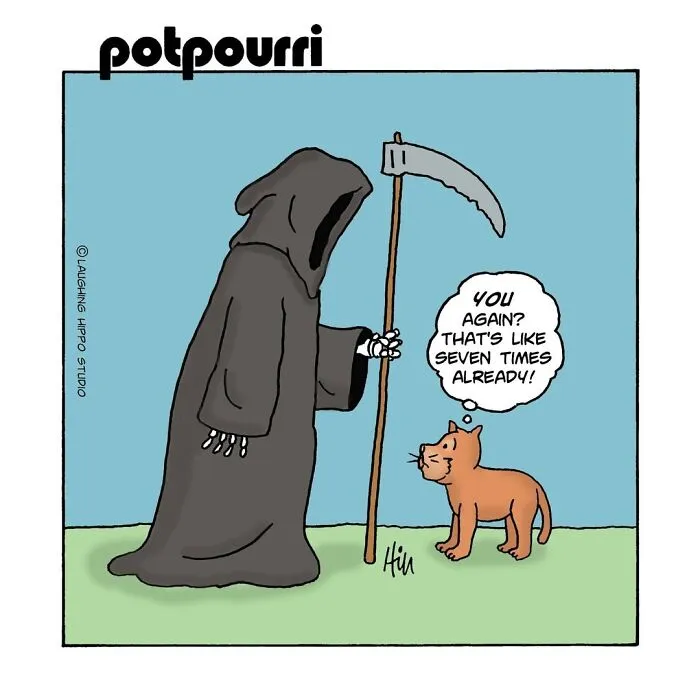 28 One-Panel Comics That Anyone Who Has Ever Been Judged By A Cat Will Instantly Relate To