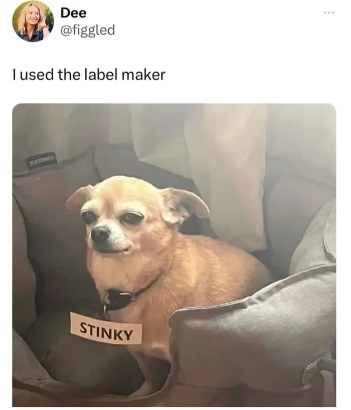 This Page Shared 50 Funny Memes For Your Daily Dose Of Cute Animal Content