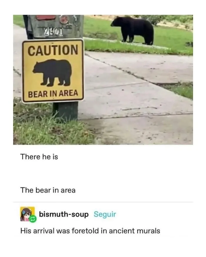This Page Shared 50 Funny Memes For Your Daily Dose Of Cute Animal Content