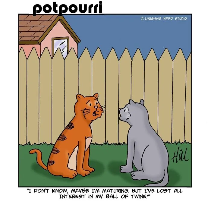 28 One-Panel Comics That Anyone Who Has Ever Been Judged By A Cat Will Instantly Relate To