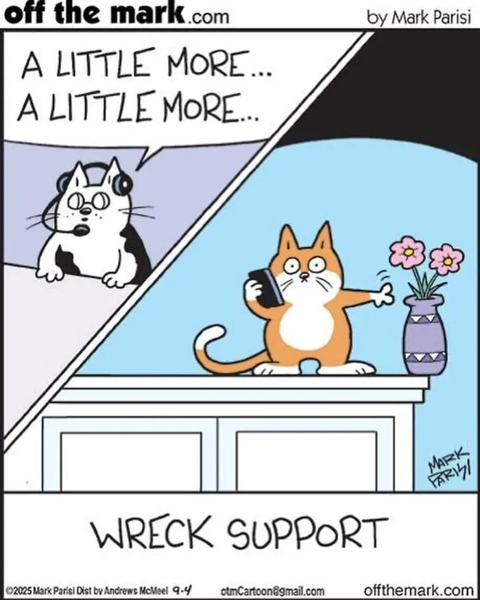 Hilarious Life With Cats Perfectly Captured In 37 New Comics By Mark Parisi