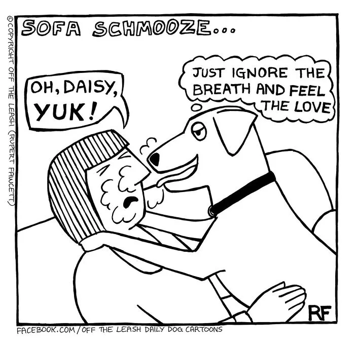 Off The Leash cartoon of a dog owner getting licked by their dog. Dog owner cartoons that totally hit home.