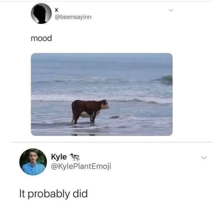This Page Shared 50 Funny Memes For Your Daily Dose Of Cute Animal Content