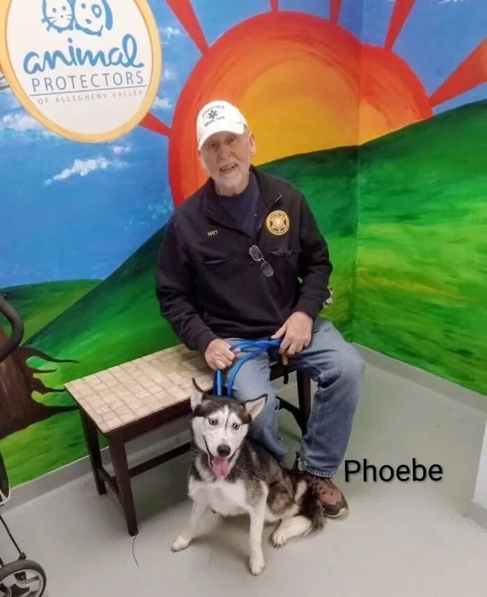 A Viral AI Video Showed Dogs Choosing Their Humans, And One Shelter Decided To Try It in Real Life (40 Pics)