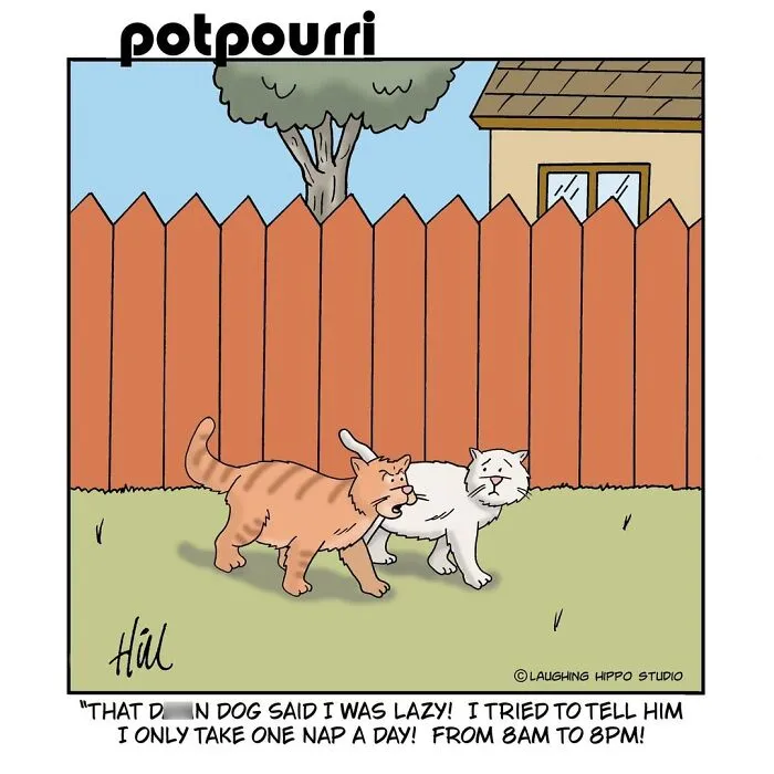 28 One-Panel Comics That Anyone Who Has Ever Been Judged By A Cat Will Instantly Relate To