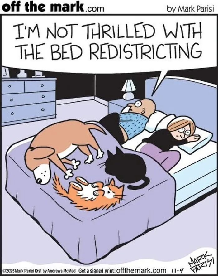 Hilarious Life With Cats Perfectly Captured In 37 New Comics By Mark Parisi