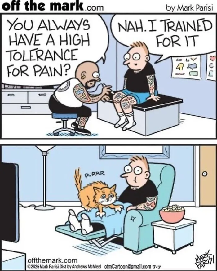 Hilarious Life With Cats Perfectly Captured In 37 New Comics By Mark Parisi