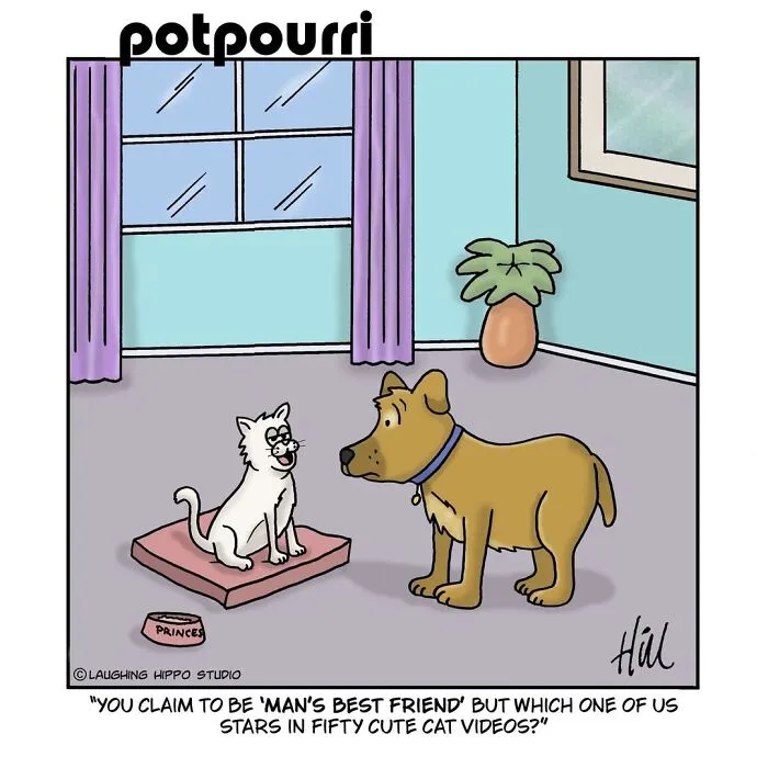 28 One-Panel Comics That Anyone Who Has Ever Been Judged By A Cat Will Instantly Relate To