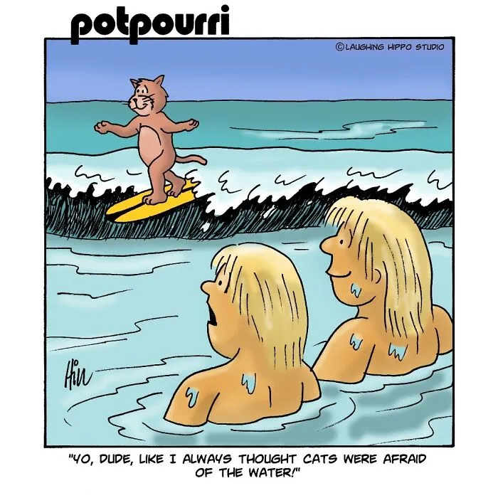28 One-Panel Comics That Anyone Who Has Ever Been Judged By A Cat Will Instantly Relate To