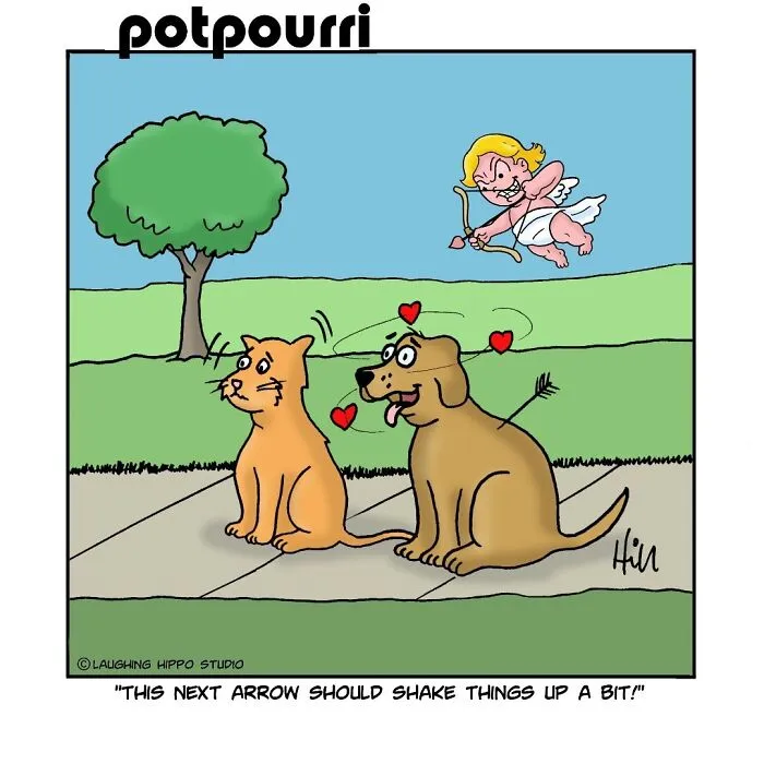 28 One-Panel Comics That Anyone Who Has Ever Been Judged By A Cat Will Instantly Relate To